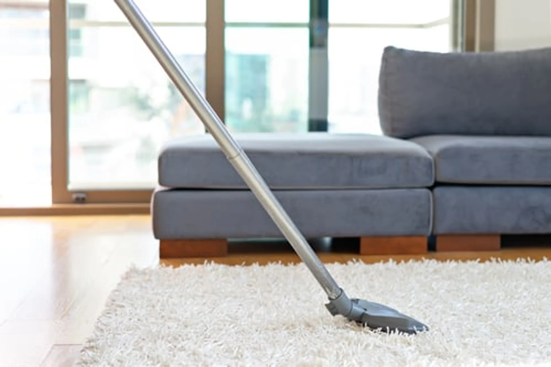 Freshly vacuumed rug and spotless living room in a Philadelphia home
